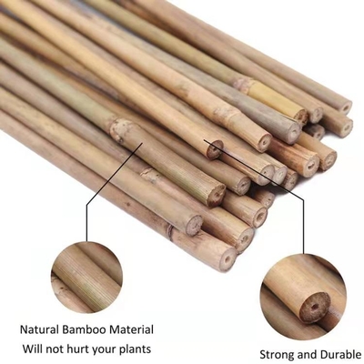 Naturalny bambus wsparcie dla roślin słupki na rośliny doniczkowe, kijki bambusowe słupki ogrodowe bambusowy słupek 40cm 595cm