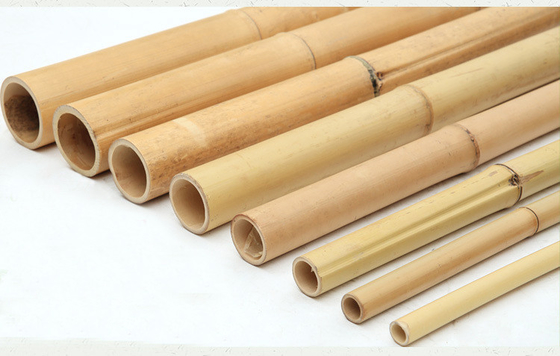 100% naturalny surowy 240cm bambusowy słup budowlany od 60cm do 595cm