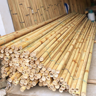 3-calowy Moso Bambusowy kijek Czyste naturalne bambusowe słupki do dekoracji roślin Żółty