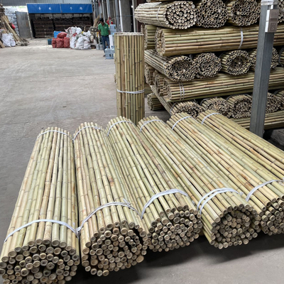 Naturalny bambus wsparcie dla roślin słupki na rośliny doniczkowe, kijki bambusowe słupki ogrodowe bambusowy słupek 40cm 595cm