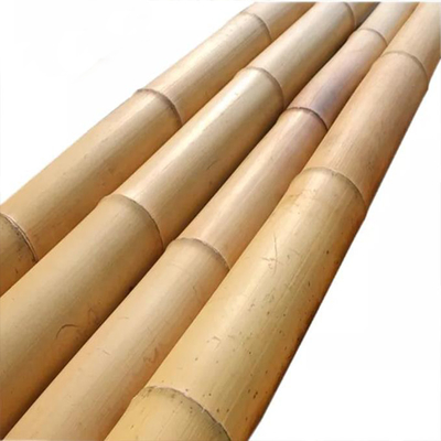Moso Bamboo Pole dla dekoracji Długość Niestandardowe proste bambusowe palce drzewa