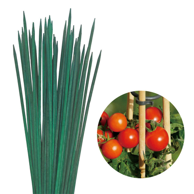 Natury Bamboo Flower Sticks For Garden Arrangement Farbowanie Bamboo Stick Flower Support